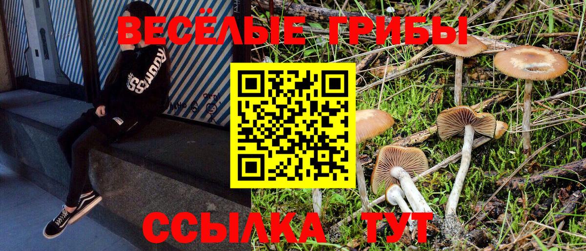Александров  Галлюциногенные грибы мухоморы  Галлюциногенные грибы Cubensis  Вход с VPN 