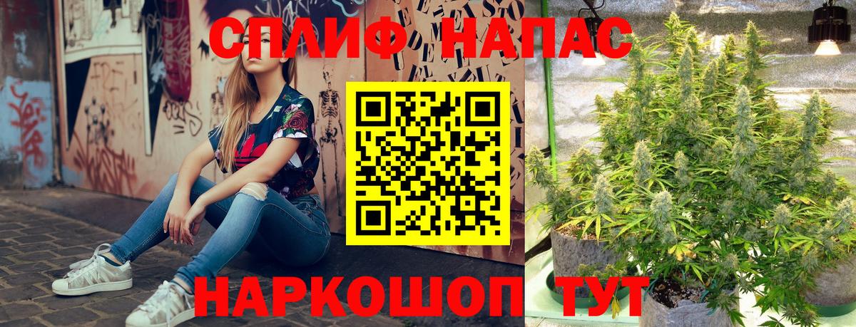 Каннабис гибрид Александров